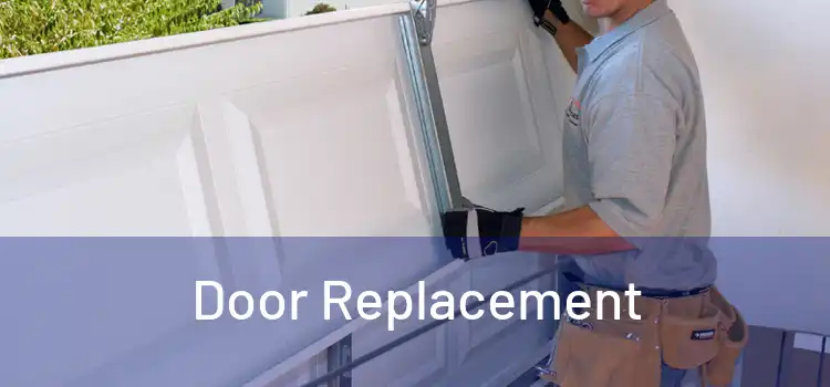  Door Replacement 