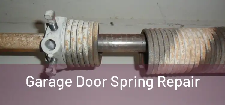  Garage Door Spring Repair 